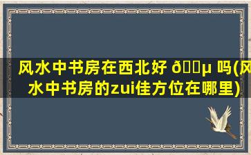 风水中书房在西北好 🐵 吗(风水中书房的zui
佳方位在哪里)